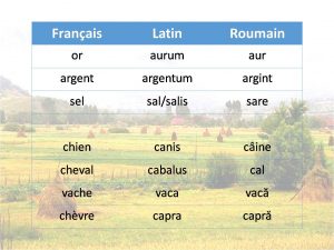 Liste no4 de mots en français, latin et roumain